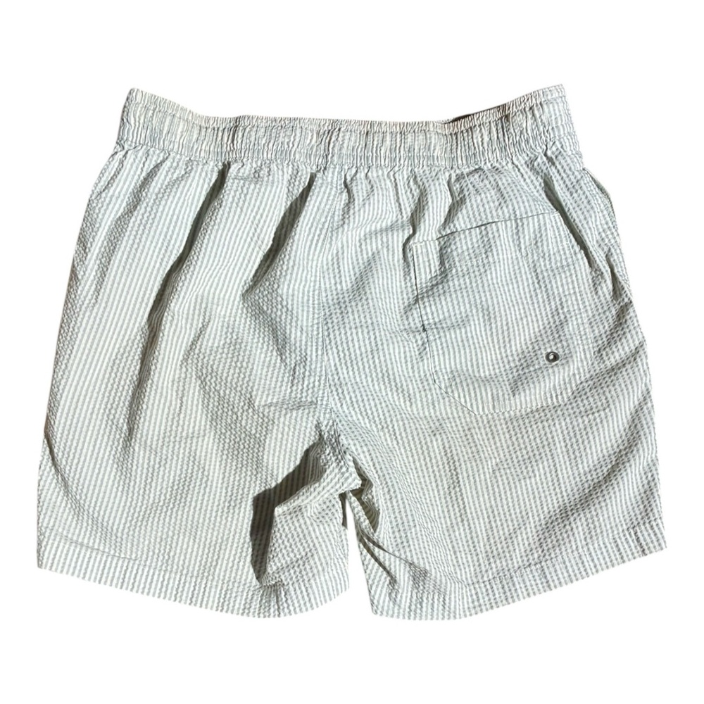 Allsaints Seersucker Swim Trunks Shorts - Picture 2 of 6